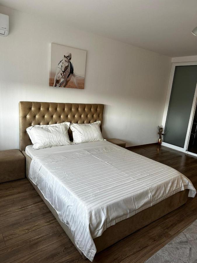 Anastasia Apartament Leilighet Oradea Eksteriør bilde